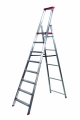 rise-tec-8616-step-ladder-8-steps.jpg